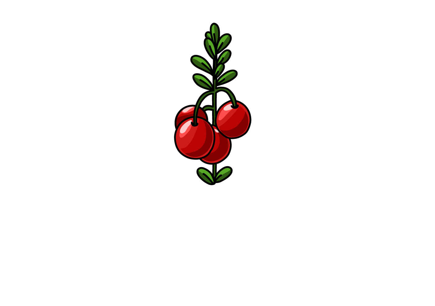 Elm Lake Cranberry